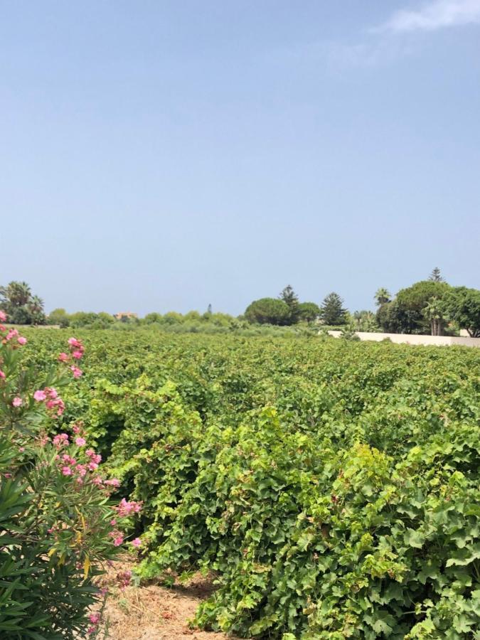 Stella Marina Villa Marsala Eksteriør bilde